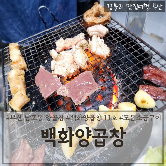  부산 남포동 이모카세 양곱창 맛집 전현무계획 자갈치시장 노포맛집 '백화양곱창 11호'