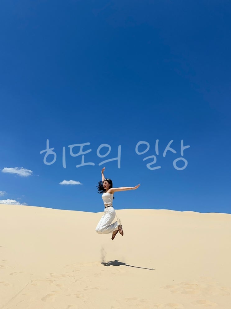  나 드디어 돌고래 봤어!!!! 모래 썰매두 타고!! ‘시드니 D+5'