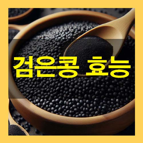  검은콩 효능 5가지와 부작용 활용요리까지