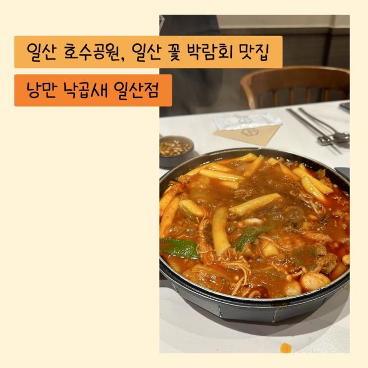  일산 호수공원 맛집, 2024 고양국제꽃박람회 맛집 추천 반려견 동반 가능한 '낭만 낙곱새 일산점'