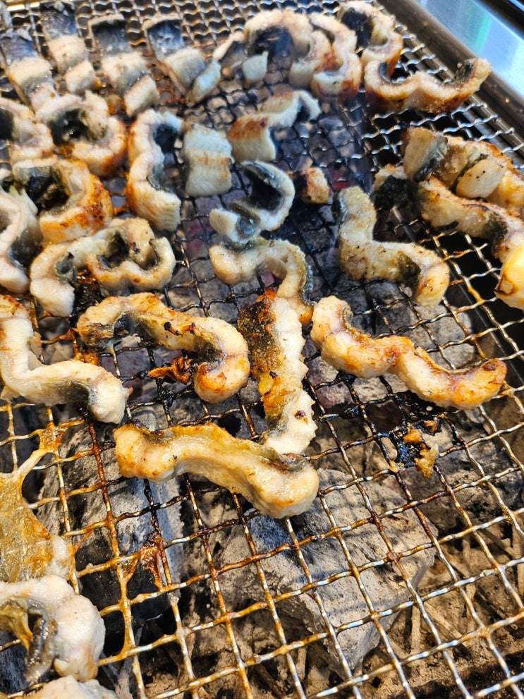  수원과 가까운 화성장어 [ 서리담 ]