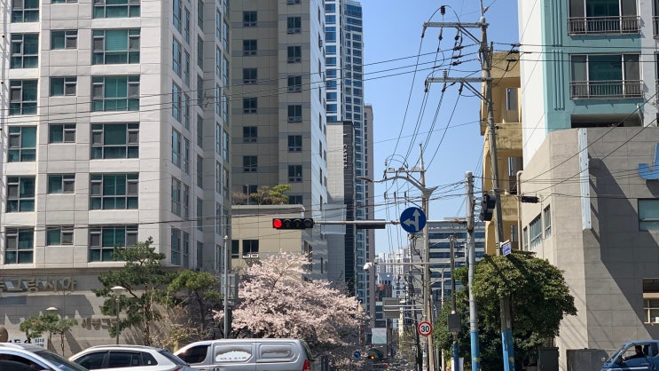  [부산, 무료주차장] 서면 광안리 부산대 남포 동래 센텀 롯데백화점 무료 개방 주차장 BUSAN FREE PARKING
