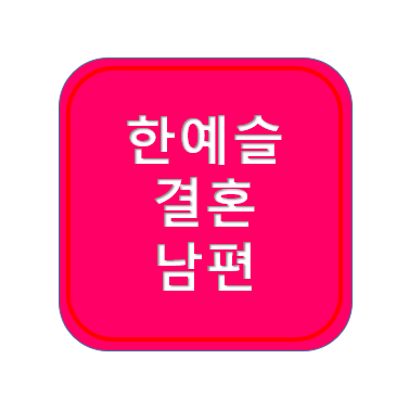 <b>한예슬</b> 결혼 ; <b>남편</b>, 남친, 류성재, 호스트, 혼인신고
