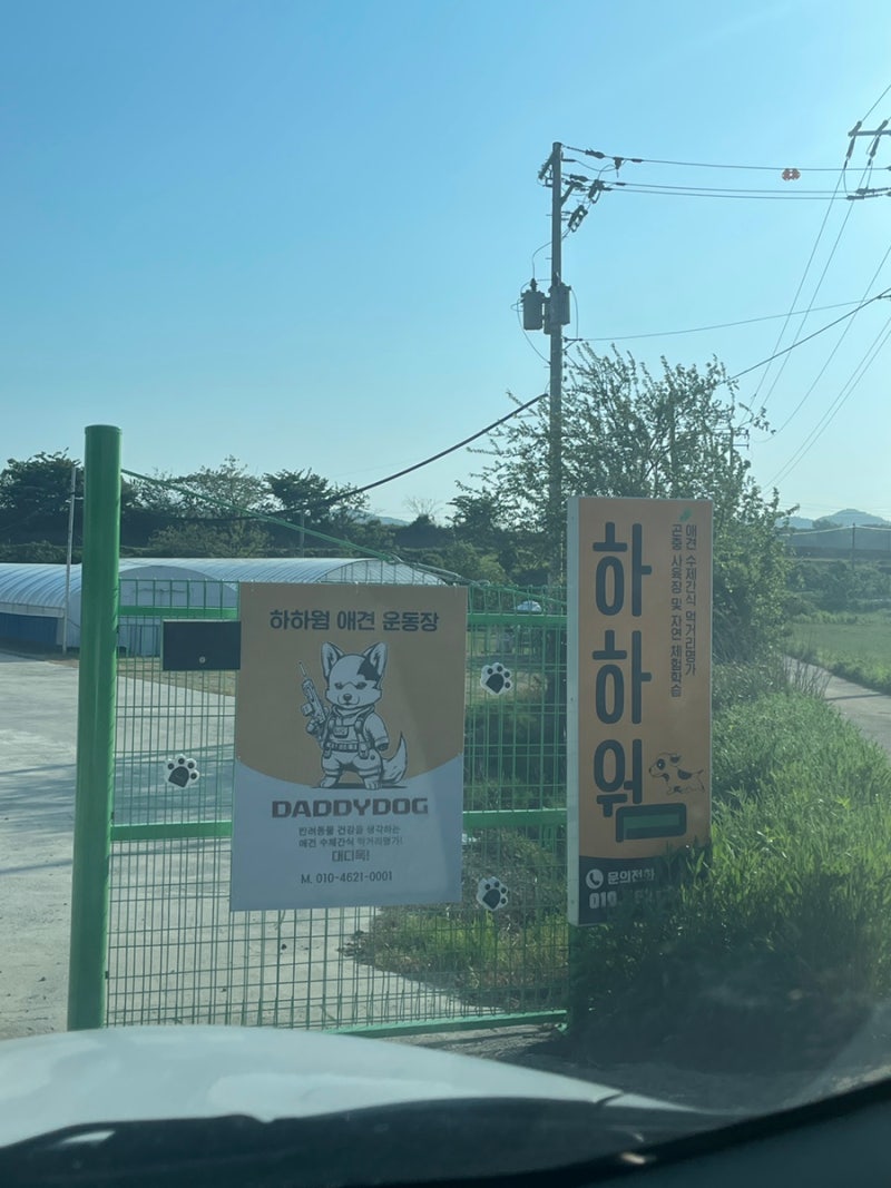 사진 2