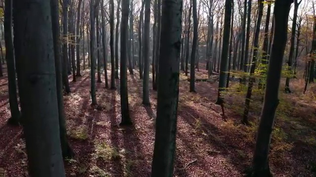  군산 사이버사회복지교육 ? 사회복지사2급 조건이 안돼도 온라인으로 쉽고 빠르게