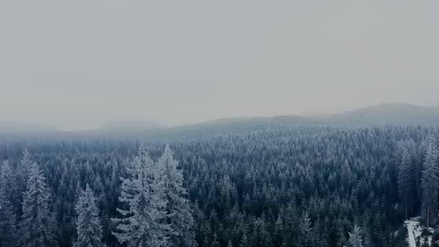  , 비전공 무경력자도 보육교사 걱정하지 말아요