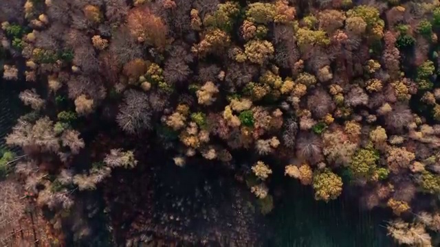  건축산업기사 응시자격 온라인 수업으로 15주 동안 끝낸 전략