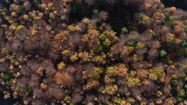  사회복지사 조건이 안돼도 온라인으로 빠르게
