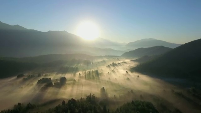  , 직장인을 위해 일정을 확실하게 이끌어주는 학점은행제 학습플래너 활용해보세요