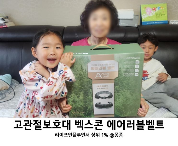 명절선물 고관절 보호대 골반 밴드 벡스콘 에어러블 벨트 낙상 예방 입는 에어백 명절선물 고관절 보호대 골반 밴드 벡스콘 에어러블 벨트 낙상 예방 입는 에어백