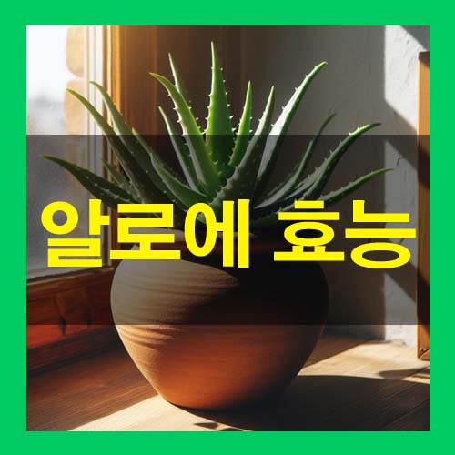  알로에 효능 부작용 활용 음식