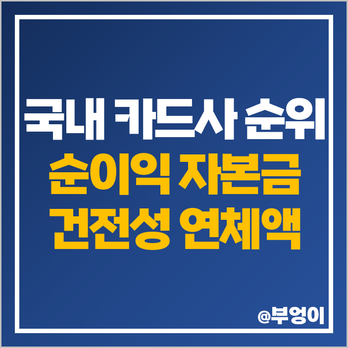 국내 신용 카드사 순위 손익계산서 순이익 재무상태표 자본금 건전성 국내 신용 카드사 순위 손익계산서 순이익 재무상태표 자본금 건전성
