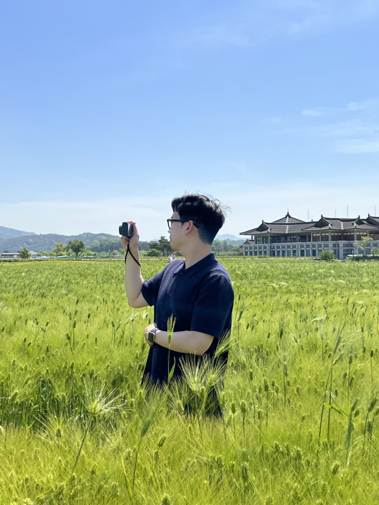  경주 데이트 코스 분황사 청보리밭 인생사진 스팟 주차정보