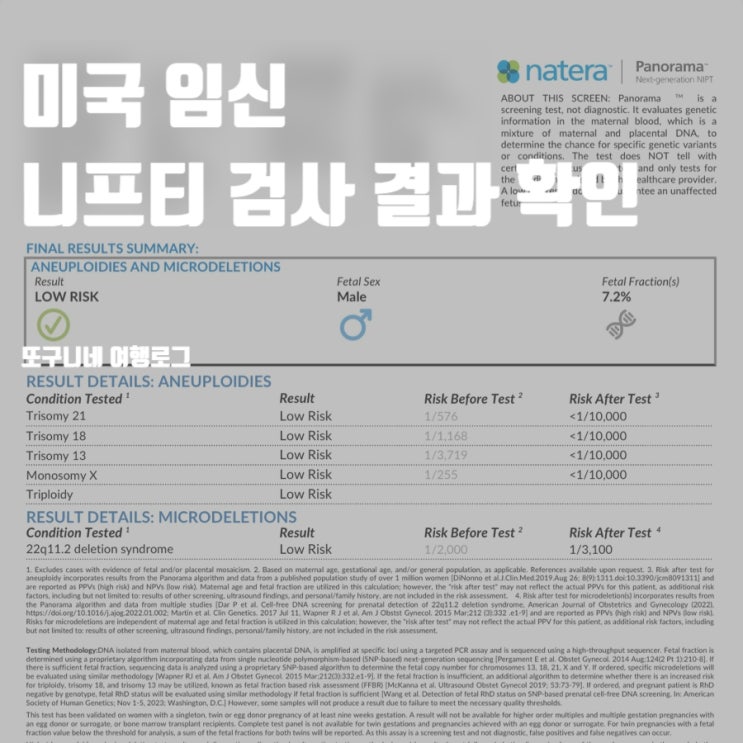  미국 임신 NIPT 니프티 검사 결과 성별 확인 Natera Panorama