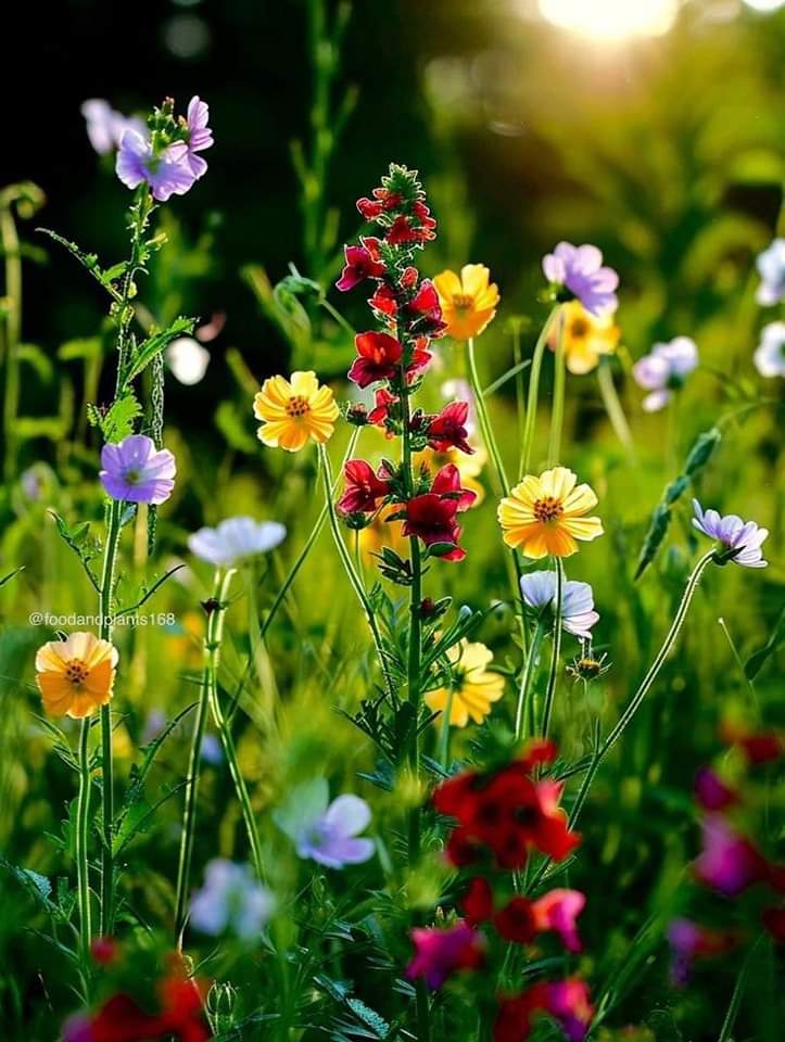   오늘의 생활정보 (2024-05-08, 수)