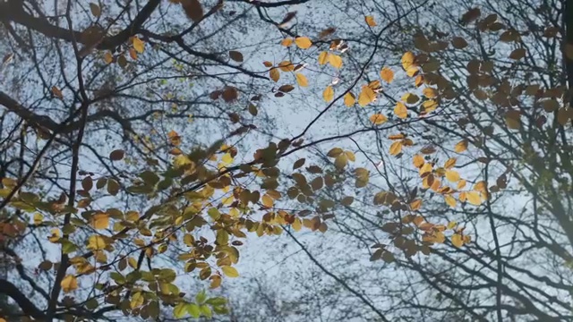  사회복지사2급자격증학점은행 사회복지사 관련학과 아니어도 학점은행제로 쉽고 빠르게