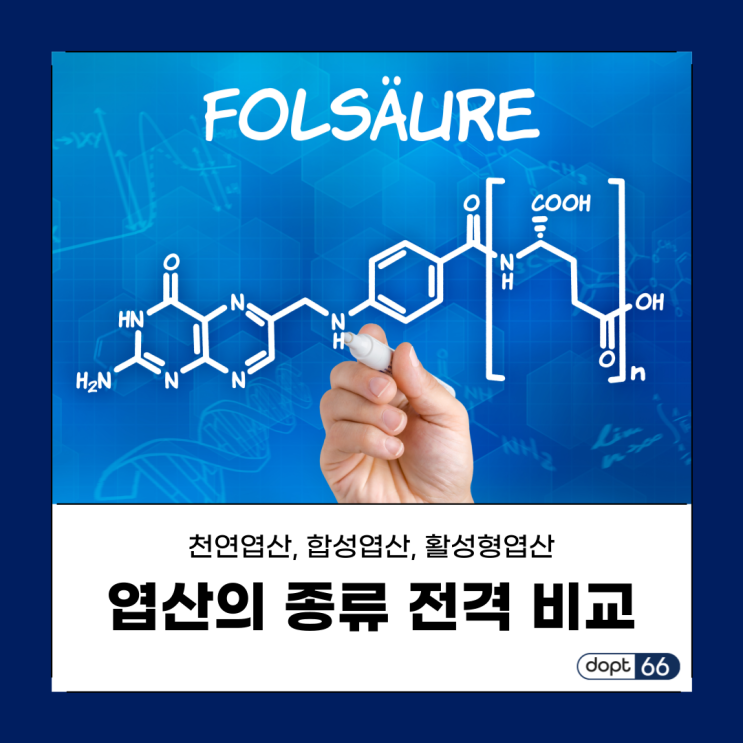  엽산의 종류 3가지 전격 비교 (천연엽산, 합성엽산, 활성형엽산)
