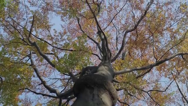  사회복지사 직장인도 인강으로 간단하게