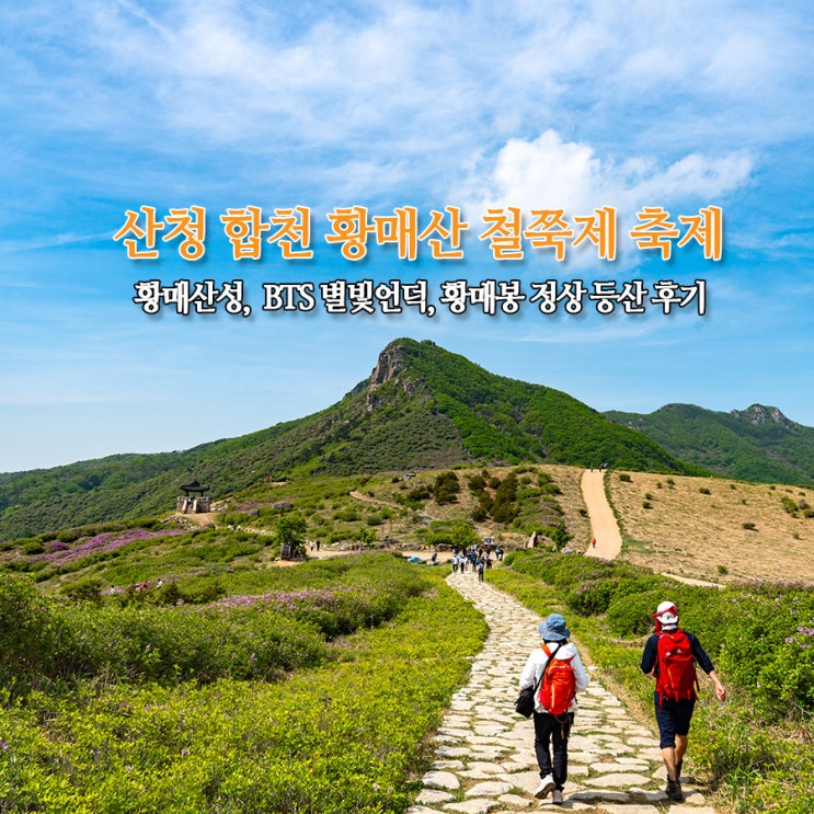  산청 합천 황매산 철쭉제 축제 황매산성, BTS 별빛언덕, 황매봉 정상 등산 후기