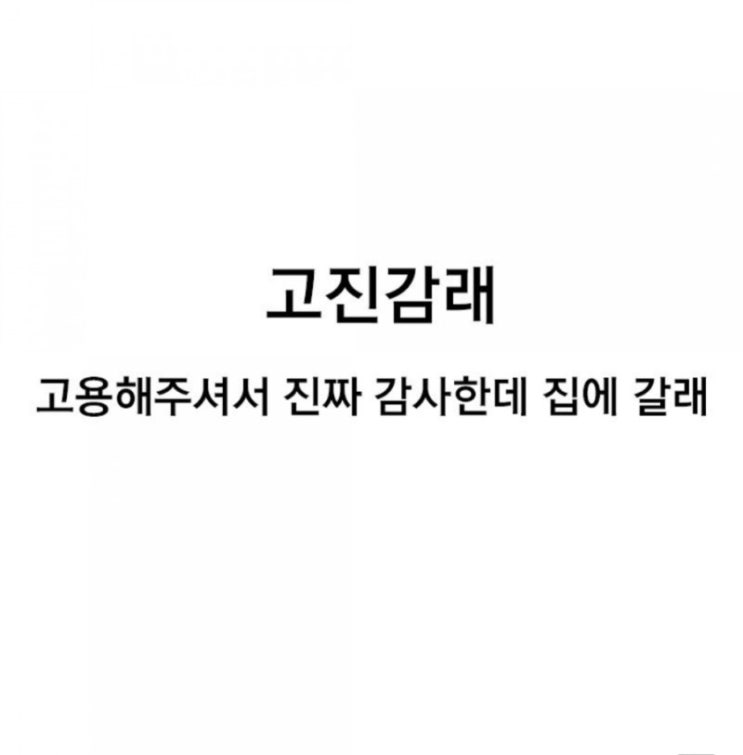  [4.29 ~ 5.3] 콘서트 전까지의 일상 주간일기