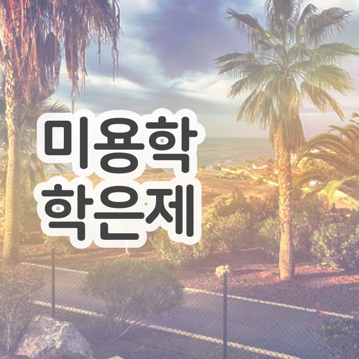  피부 미용사 면허증 , 국가미용자격증 빠르게 따고 취직까지 성공한 전략