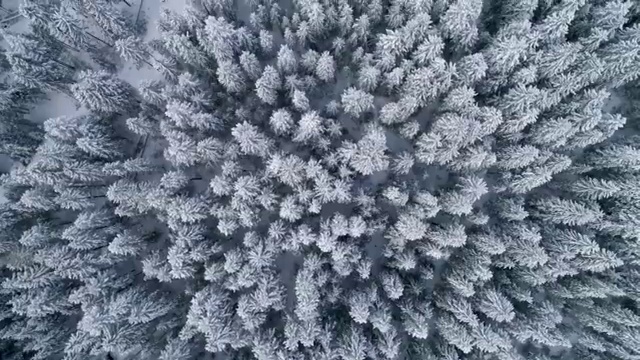  , 보육교사 준비했어요