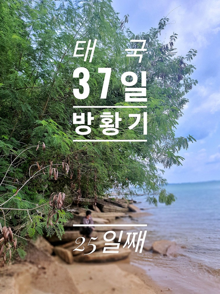  [태국 37일간의 방황기] 25일째 오토바이 일일투어 Shell cemetery 끄라비 타운 Wat sai thai Giant Catfish Farm Kodam Kitchen