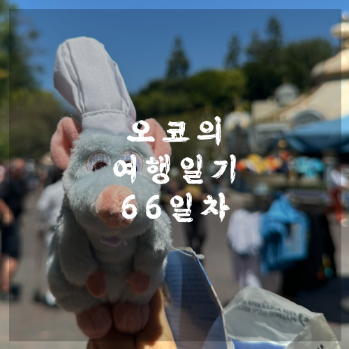  오코의 100일 여행일기 DAY 66 오늘은 디즈니랜드