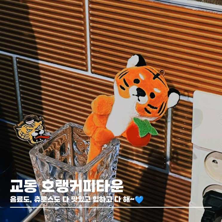  애견 동반 가능한 교동 츄러스 맛집, 대구 호랭커피타운