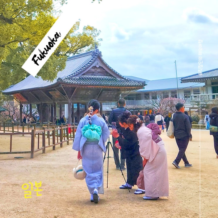  직장인의 해외여행 후쿠오카 유후인 텐진 일정