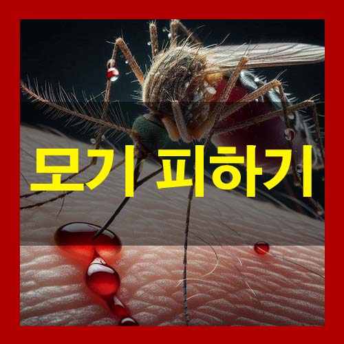  모기 잘 물리는 사람 특징 모기 안물리는 방법