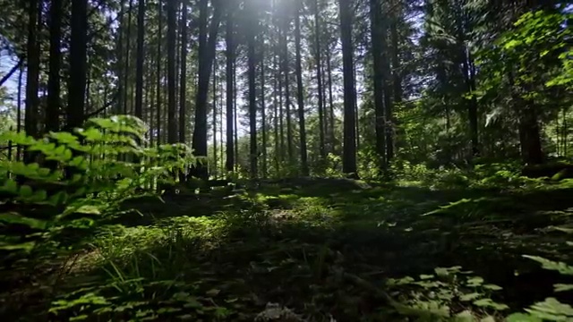  사회복지사 중년 직장인도 온라인으로 간편하게