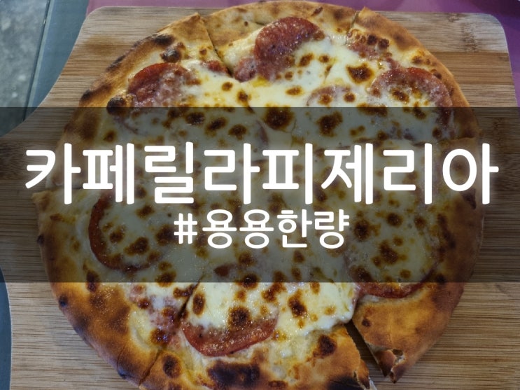  필리핀 보홀 피자 맛집 반딧불이 투어 전 방문한 냥이가 지키고 있는 카페[카페 릴라 피제리아]