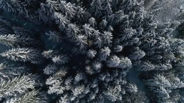  , 보육교사 간단하게 준비했던 비법
