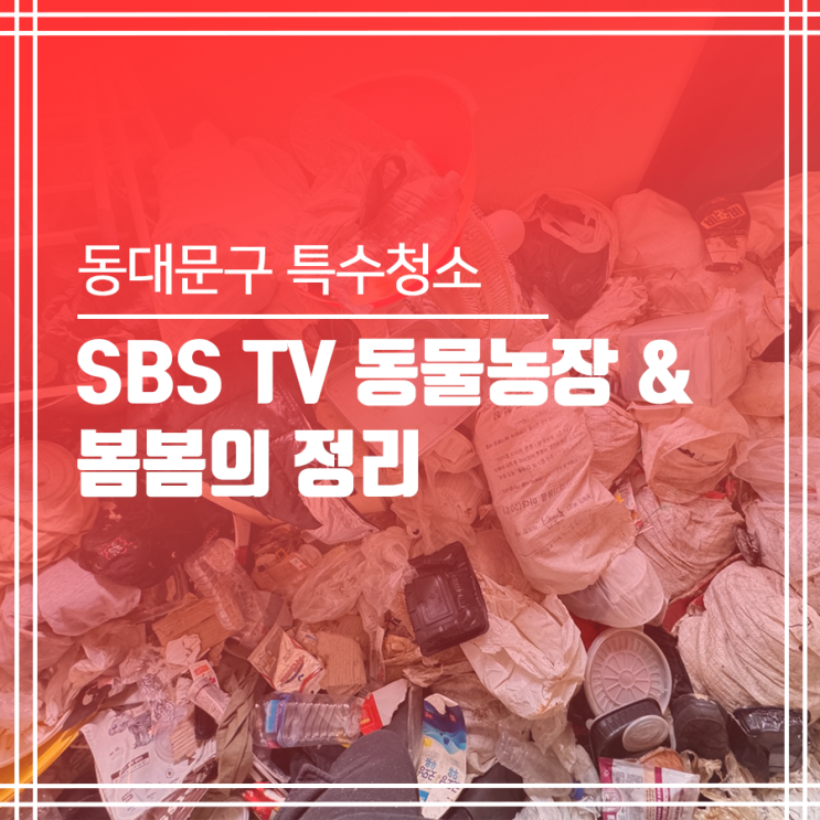  SBS TV 동물농장 반려동물 특수 청소 출연