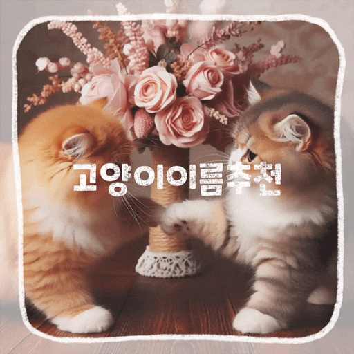  고양이 이름 추천, 예쁜 여자 귀여운 영어 이름
