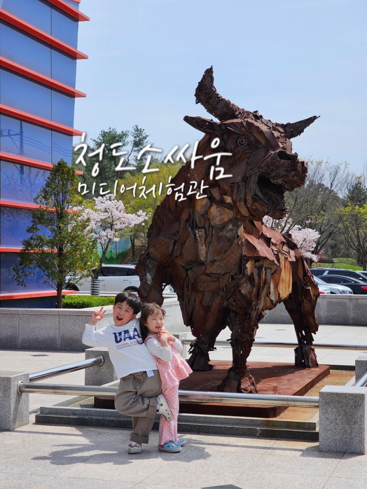  청도 아이와 가볼만한곳 청도 소싸움 미디어체험관 4D 테마파크