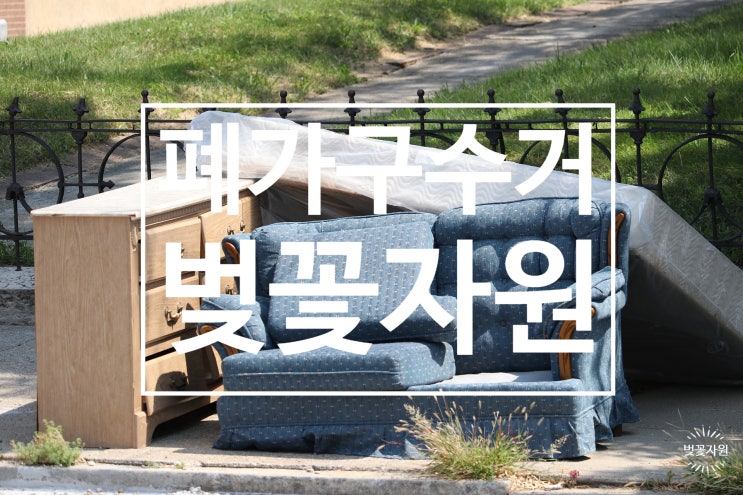  서울 강동구 폐가구 수거 가능한 벚꽃자원입니다.