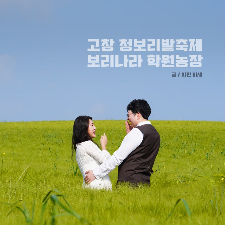  5월 전라도 여행, 2024 고창 청보리밭 축제 주차장 기본정보 포토존