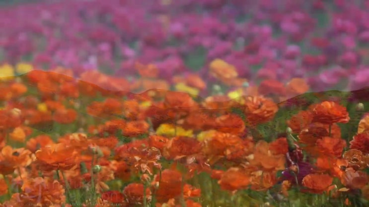  사회복지사 중년 직장인도 학은제 활용하여 손쉽게