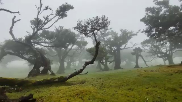  사회복지온라인교육 사회복지사 관련학과 아니어도 학은제 활용하여 수월하게