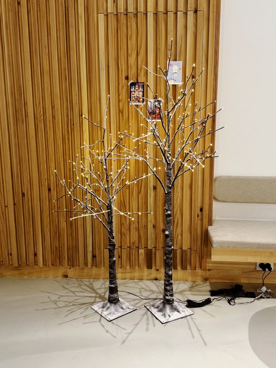 무드무아 사진 6