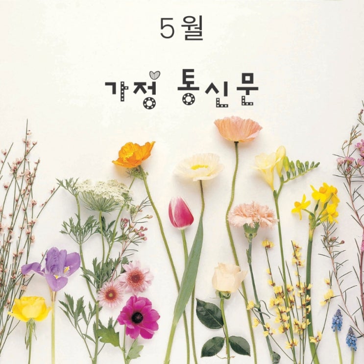 5월 소식지 양산동 수학학원 스마트해법수학 양산자이1차점