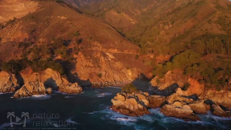  양식조리기능사, 학점인정, 16 양식조리산업기사 시험응시자격 학점은행제로 간편하게 준비한 팁