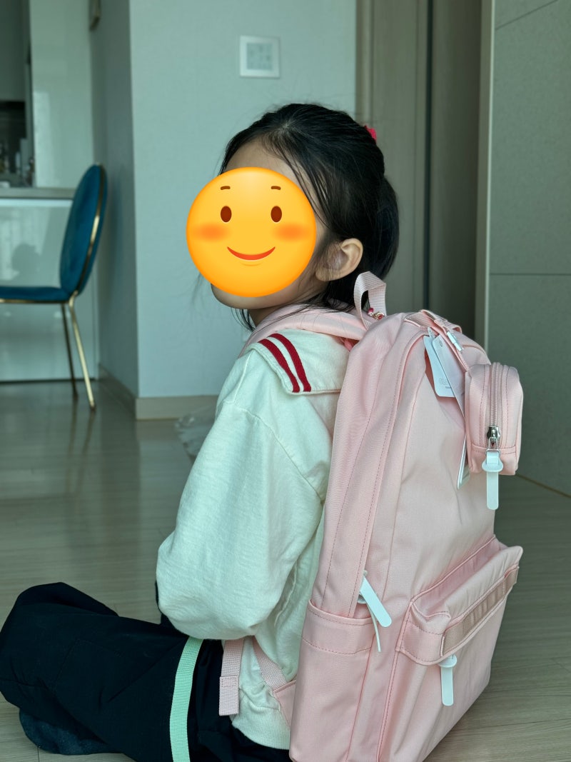 시로카라 백팩 L 후기 체스트벨트 착용법 초등학생 책가방