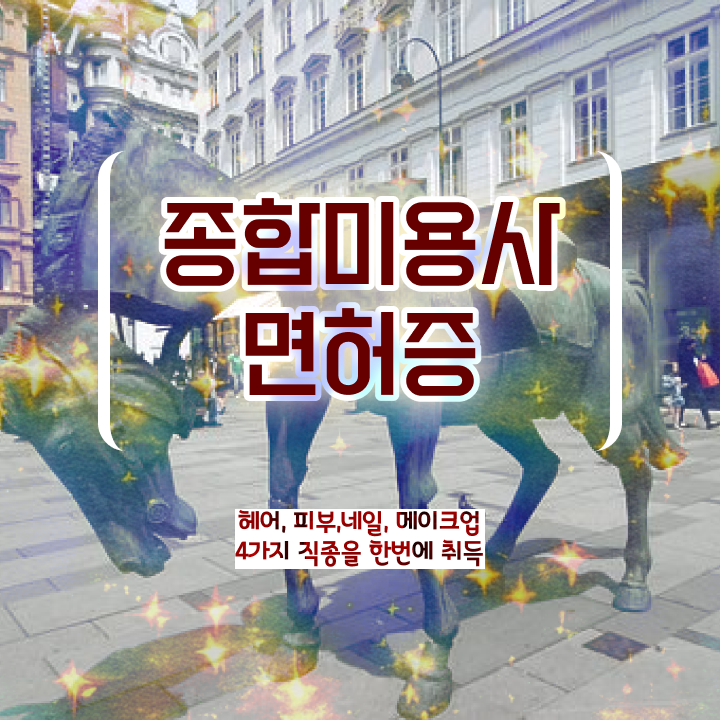  피부 미용사 면허증 평가 없이 , 온라인 수업만으로 이용사자격증 따고 샵오픈까지 마친 팁