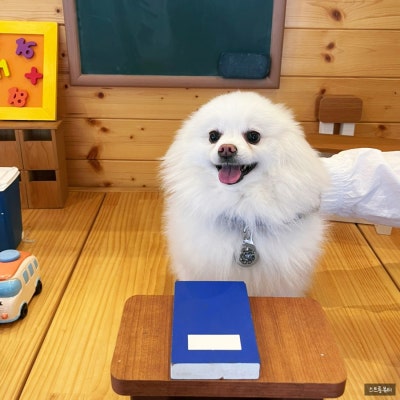 사진 5