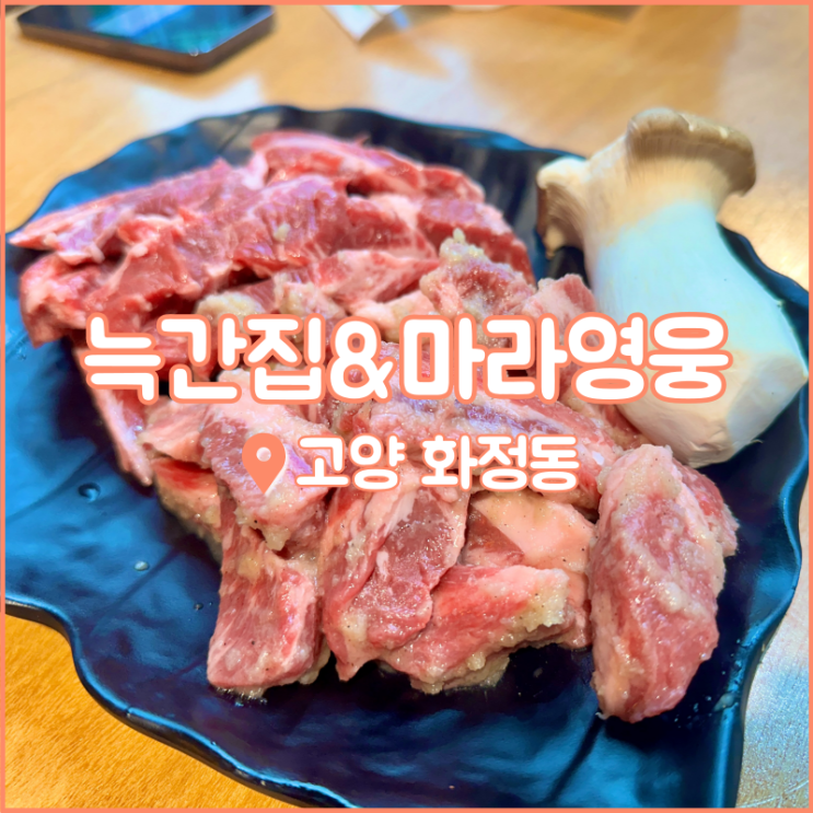 고양 화정 맛집, 중화요리와 고기를 함께! 늑간집&마라영웅