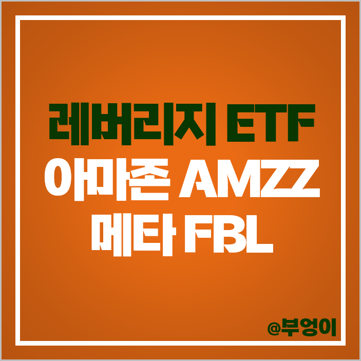 메타플랫폼스 주식 애플 관련주 미국 레버리지 ETF AMZZ FBL 주가 메타플랫폼스 주식 애플 관련주 미국 레버리지 ETF AMZZ FBL 주가