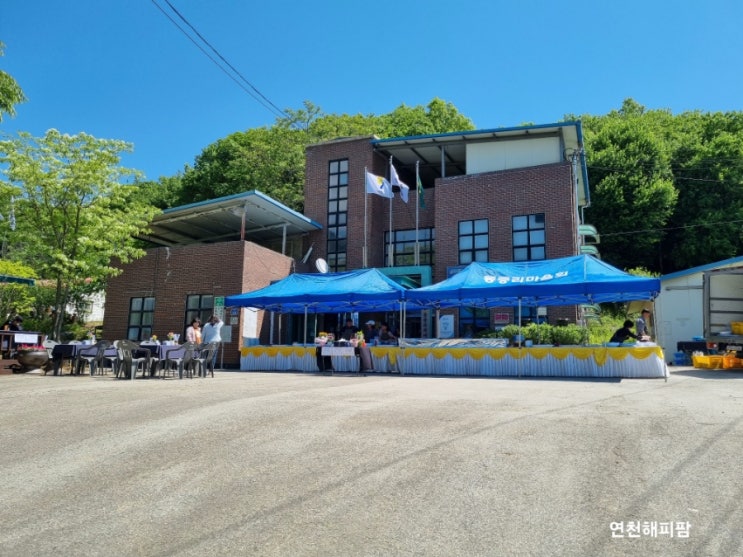  어버이날행사 연천호랑이배꼽마을 마을효잔치